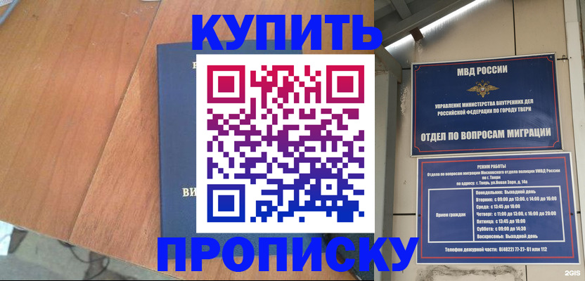 прописка 2025 в Мончегорске